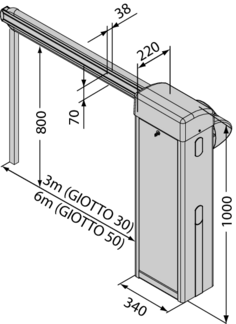 bft giotto